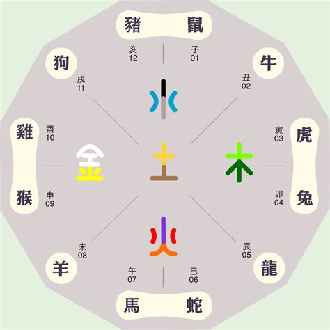 子 屬性|子字五行属什么